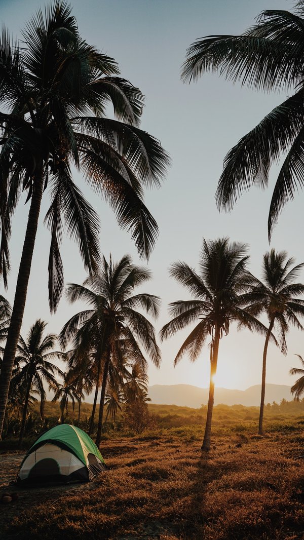 Quels sont les enjeux de la gestion multicanal en marketing ?